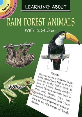 Learning About Rain Forest Animals 1