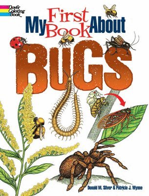 bokomslag My First Book About Bugs