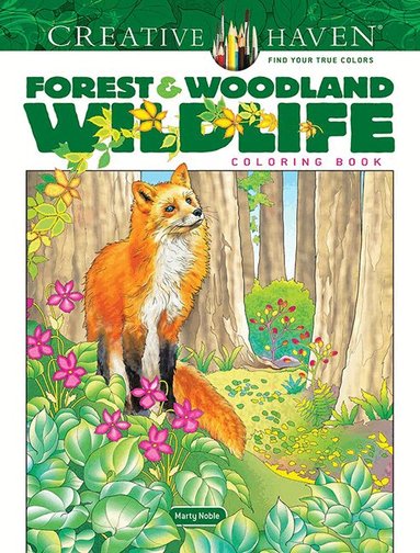 Marty Noble - Creative Haven Forest & Woodland Wildlife Coloring Book, Häftad