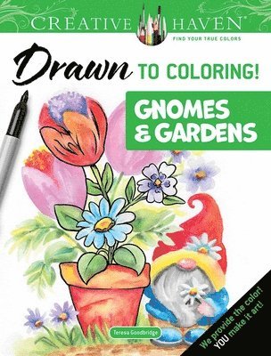 Creative Haven Gardens & Gnomes: Draw the Lines! 1