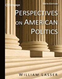 bokomslag Perspectives on American Politics