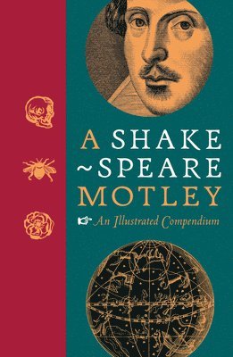 bokomslag A Shakespeare Motley