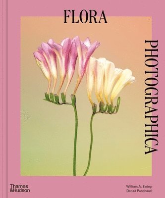 Flora Photographica 1