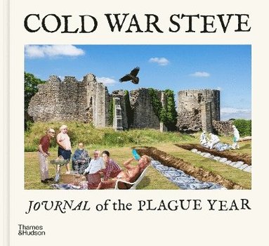 bokomslag Cold War Steve  Journal of The Plague Year