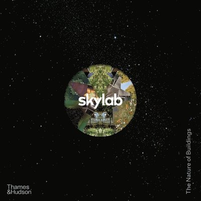 Skylab 1