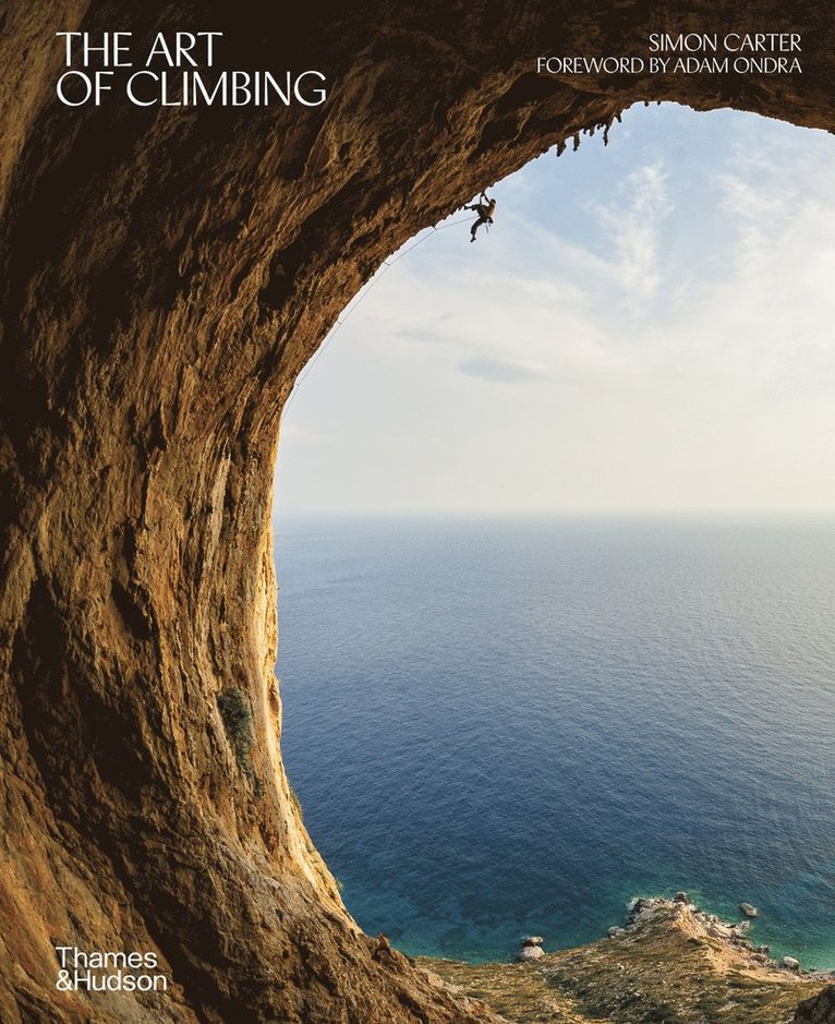 Art of Climbing 1
