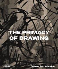 bokomslag Primacy of Drawing