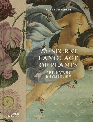 bokomslag Secret Language of Plants