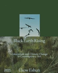 bokomslag Black Earth Rising