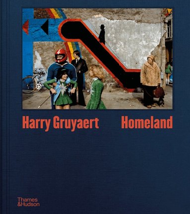 Harry Gruyaert, Brice Matthieussent - Harry Gruyaert: Homeland, Inbunden