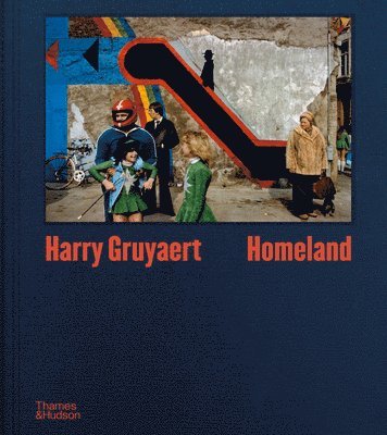 Harry Gruyaert, Brice Matthieussent - Harry Gruyaert: Homeland, Inbunden
