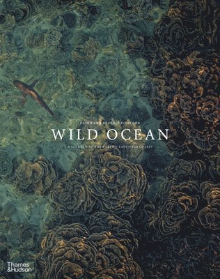bokomslag Wild Ocean