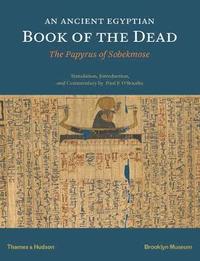 bokomslag An Ancient Egyptian Book of the Dead