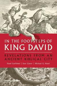 bokomslag In the Footsteps of King David