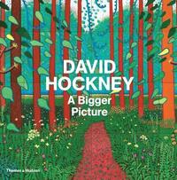 bokomslag David Hockney