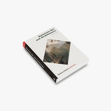 Michael J. Lewis - American Art and Architecture, Häftad