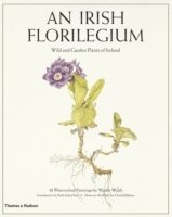 bokomslag An Irish Florilegium