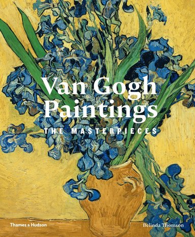 bokomslag Van Gogh Paintings