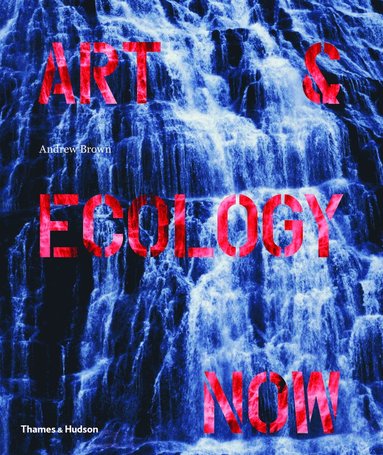 bokomslag Art & Ecology Now