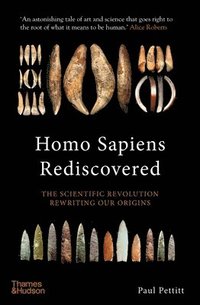 bokomslag Homo Sapiens Rediscovered
