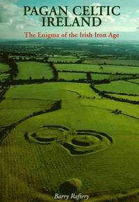 bokomslag Pagan Celtic Ireland