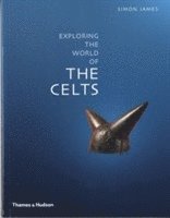 bokomslag Exploring the World of the Celts