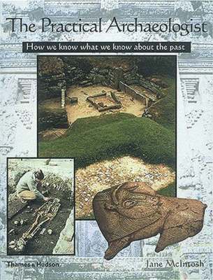 The Practical Archaeologist 1