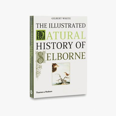 Gilbert White - Illustrated Natural History of Selborne, Häftad
