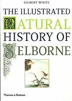 bokomslag The Illustrated Natural History of Selborne