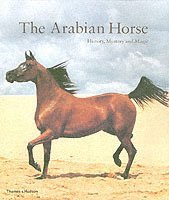The Arabian Horse 1
