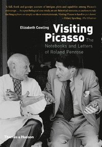 bokomslag Visiting Picasso