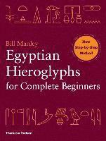 bokomslag Egyptian Hieroglyphs for Complete Beginners