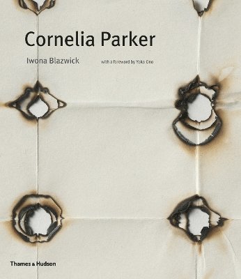 Cornelia Parker 1
