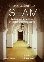 bokomslag Introduction to Islam: Beliefs and Practices in Historical Perspective