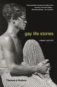 bokomslag Gay Life Stories