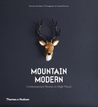 bokomslag Mountain Modern
