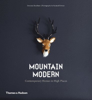 Mountain Modern 1