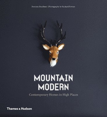 Mountain Modern