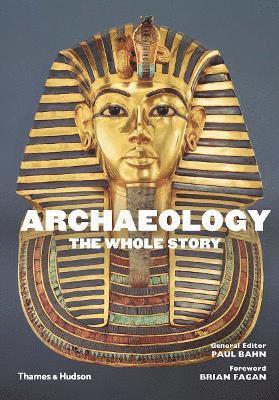 bokomslag Archaeology: The Whole Story
