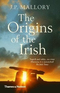 bokomslag The Origins of the Irish