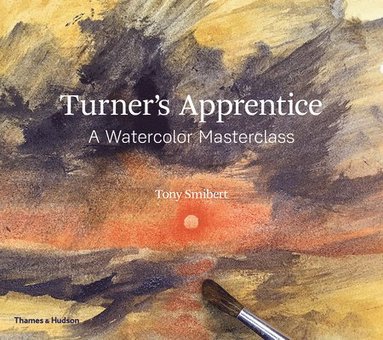 bokomslag Turner's Apprentice