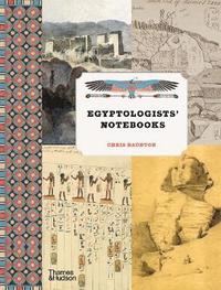 bokomslag Egyptologists Notebooks