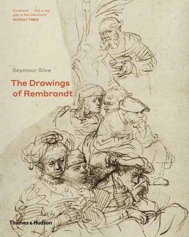 bokomslag Drawings of Rembrandt