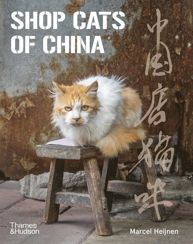 bokomslag Shop Cats of China