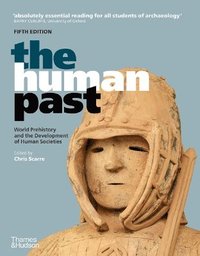 bokomslag The Human Past