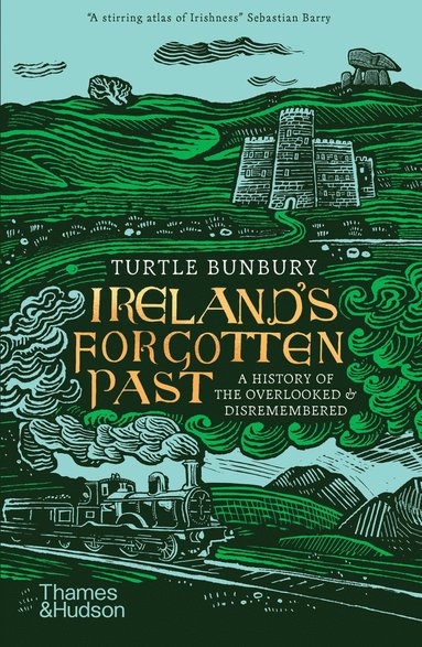 bokomslag Ireland's Forgotten Past