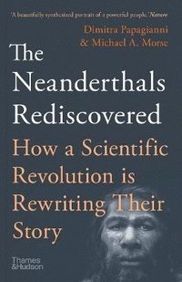 bokomslag The Neanderthals Rediscovered