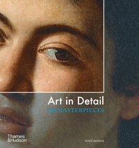 bokomslag Art in Detail: 100 Masterpieces