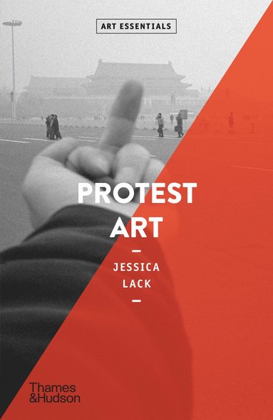 bokomslag Protest Art