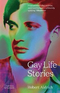 bokomslag Gay Life Stories